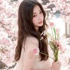 追劇、追星群