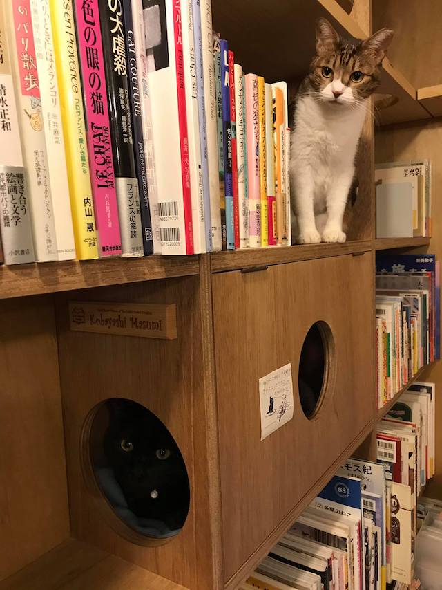 猫書店 21