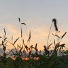 困り感のある人たちのお悩み相談室