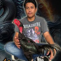 Tangtamp