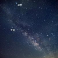 酷科普師資群