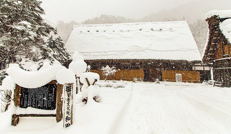 20160120-20160120-IMG_9595