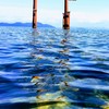 琵琶湖バス釣り