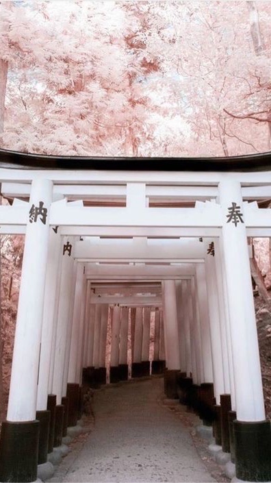 ☆*。雑談R∞M♌️   愛知近郊が集まる素敵なお部屋𖤣𖤥𖠿𖤣𖤥地元トークしましょう🎵