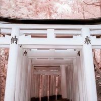 ☆*。雑談R∞M♌️   愛知近郊が集まる素敵なお部屋𖤣𖤥𖠿𖤣𖤥地元トークしましょう🎵