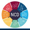 รร.ลดNCDsเฟส 2