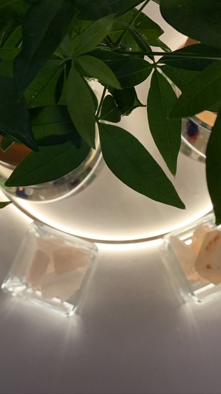 new 湯家兄弟夫婦秘密群