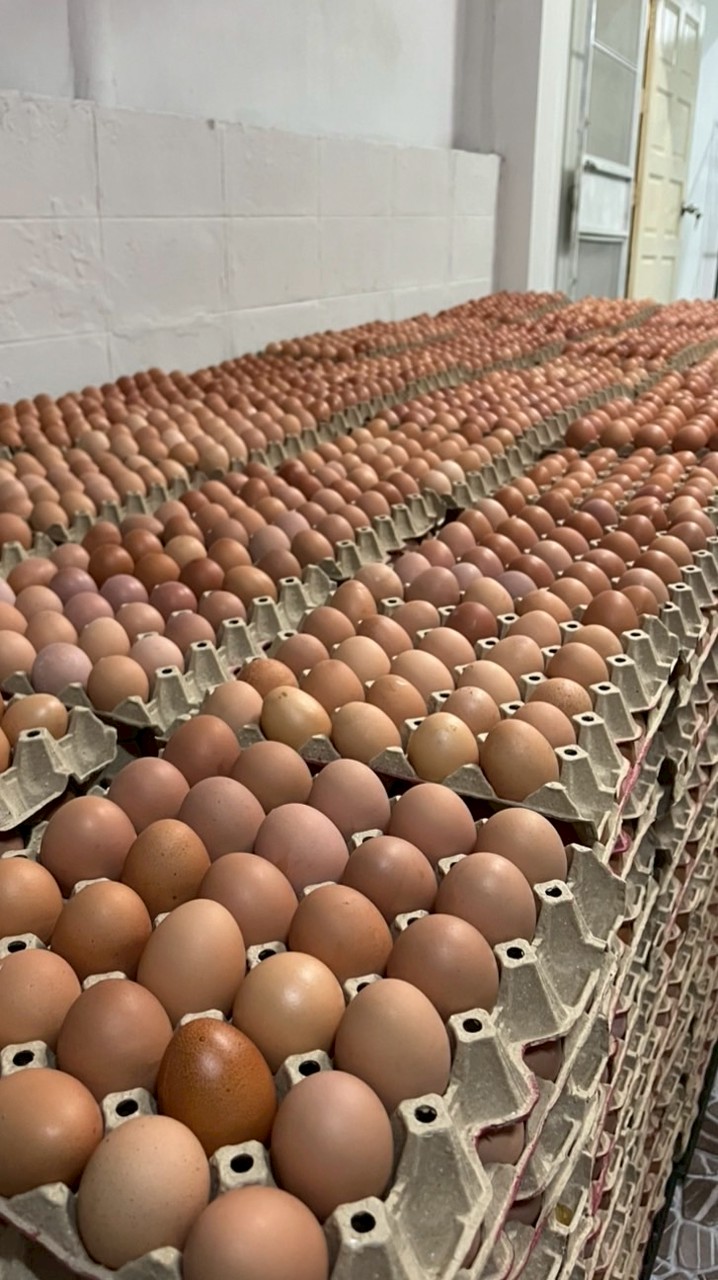 ฅนขายไข่🐣น้ำหวานไข่ไก่🥚