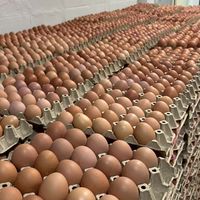 ฅนขายไข่🐣น้ำหวานไข่ไก่🥚