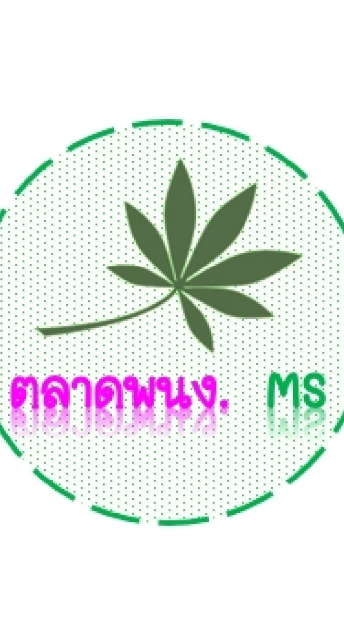 Market_MS