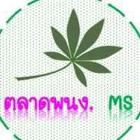 Market_MS