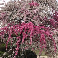 ★地方公務員の遊び場★