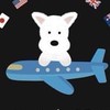 Danielx万事屋一番賞/各國代購/公仔模型/盒玩/GK