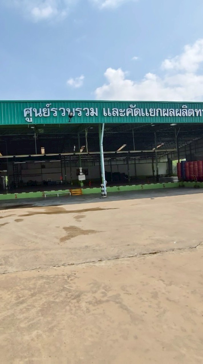 สหกรณ์เขาคิชฌกูฏ(ล้งกลาง)