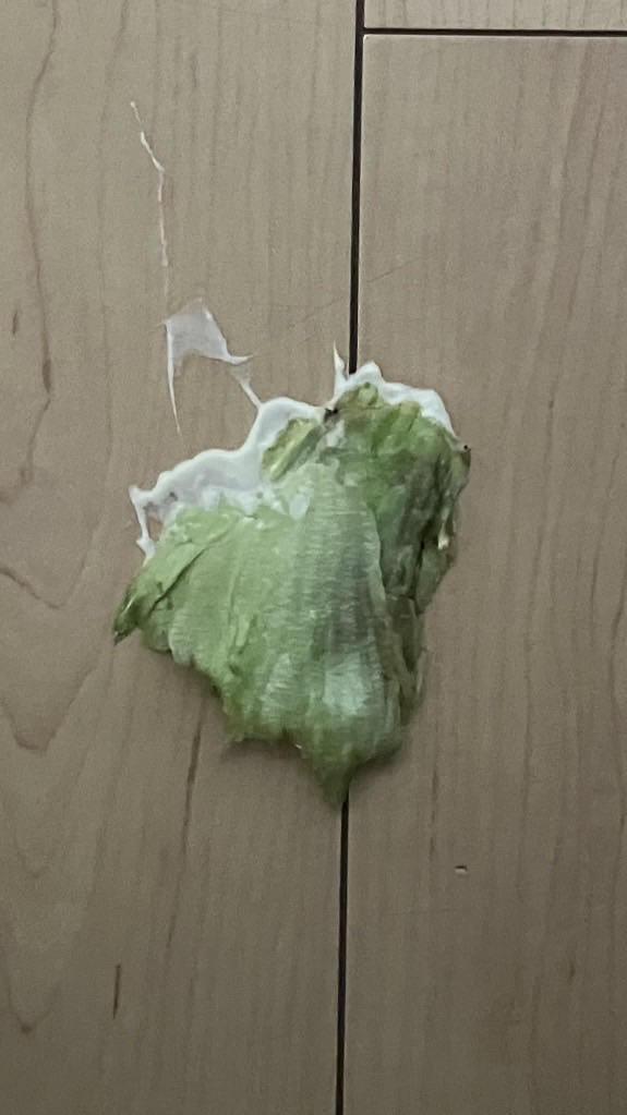 (   ᐕ)なまえわかんない
