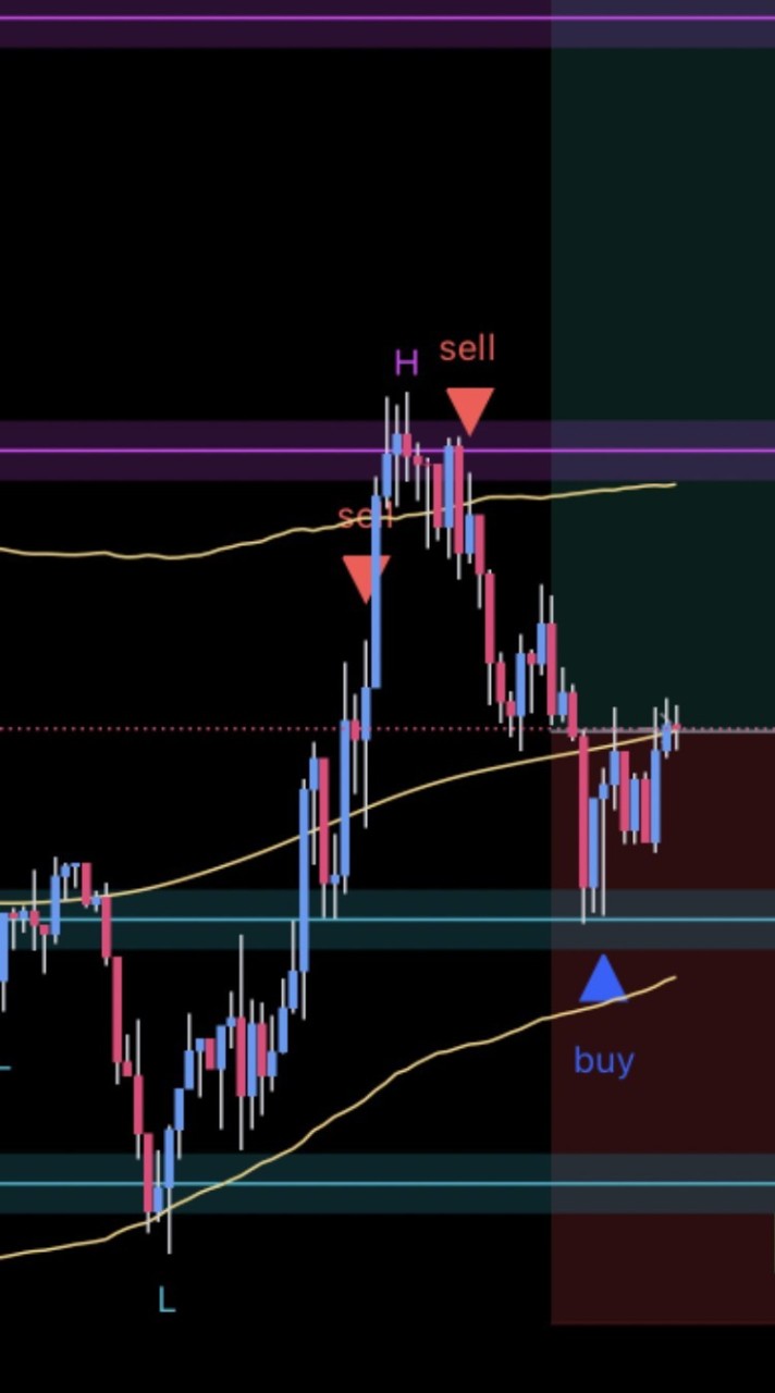 Trader. พาวิน
