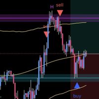Trader. พาวิน