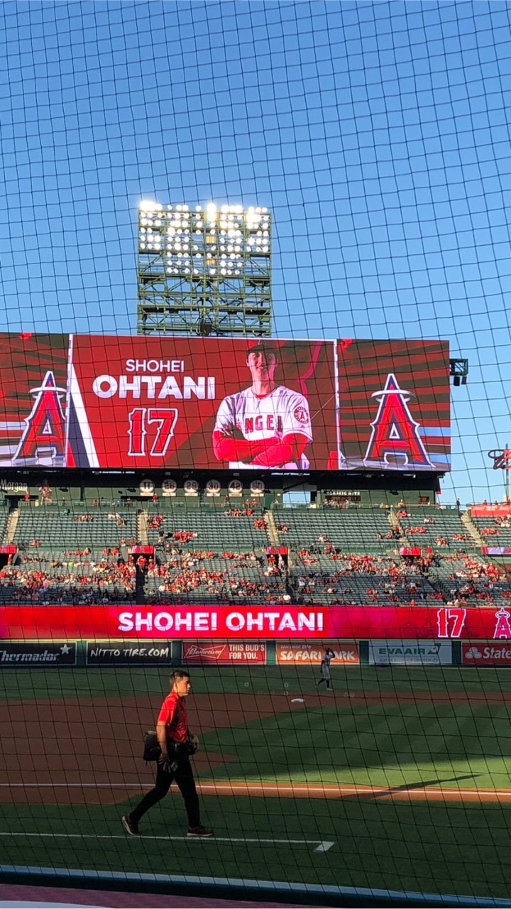 43鯖　コアラの行進