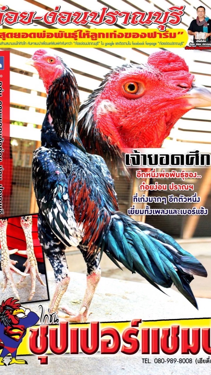 ไร่สวัสดี2  ก๋อยง่อน บุรีรัมย์