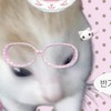 Squishy_luvcat.png