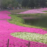 関西ノンアル🍰☕🍓を愛する会