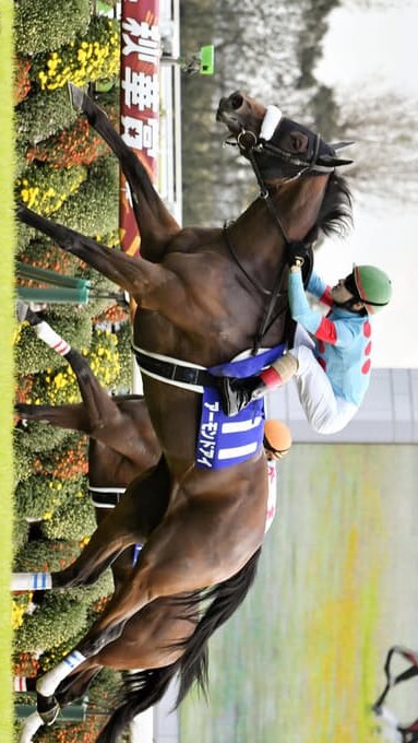 競馬予想 笑われていこうじゃねえか