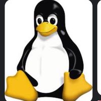 C linux shell 學伴