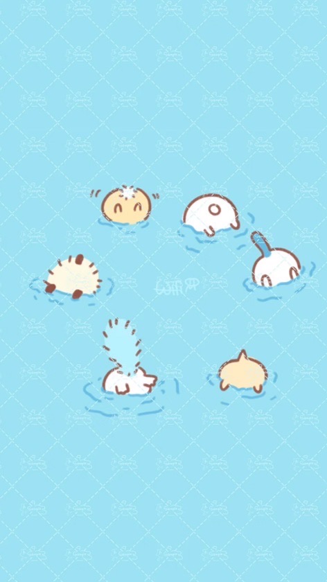 吉伊卡哇與自嘲熊分享聯萌(*ˇωˇ*人)