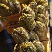 金多多榴槤，草苺，桑椹，釋迦，8樂，水密桃，黑金鋼花生