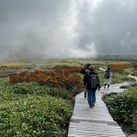 THE GATE HIKING CLUB