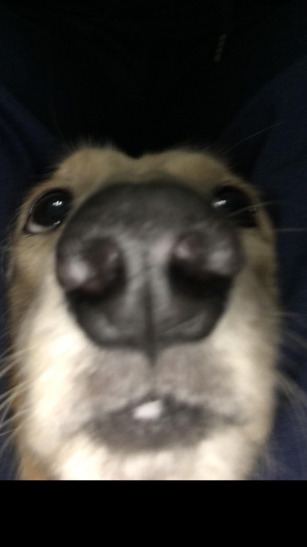 兄弟你說