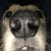 兄弟你說