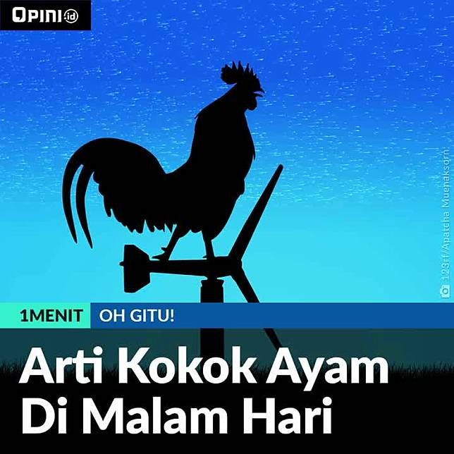 Arti Kok Ayam Di Malam Hari