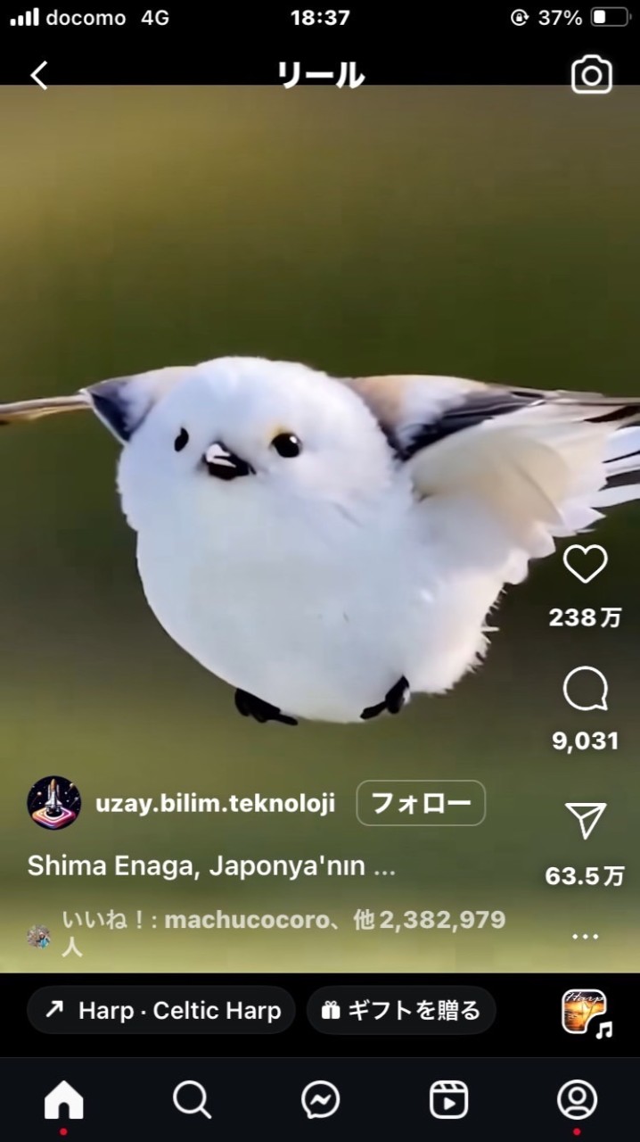 my colorマルシェご案内