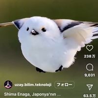 my colorマルシェご案内
