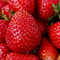 World Strawberry Festival 2021