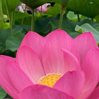 からだ快適ごきげんroom