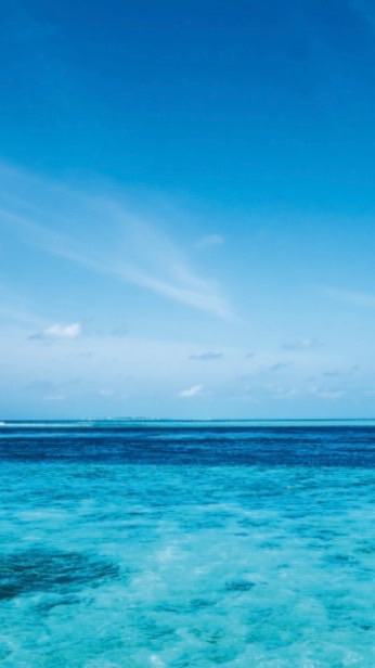 水族派對-逍遙居