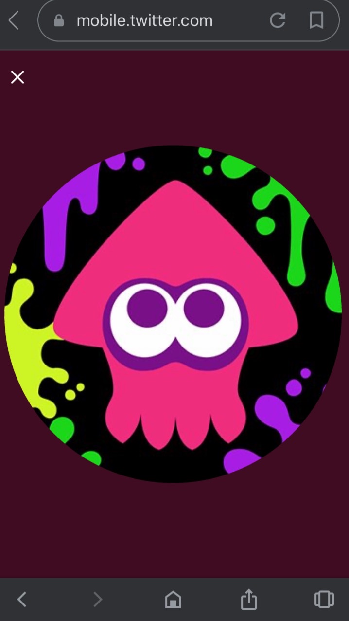 OpenChat スプラトゥーン2 チーム募集＆雑談