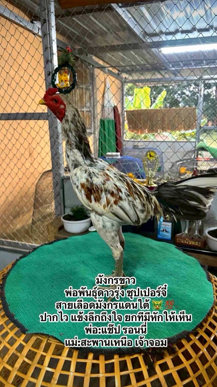 ซุปเปอร์จี๋ฟาร์ม ระยอง (กลุ่ม2)