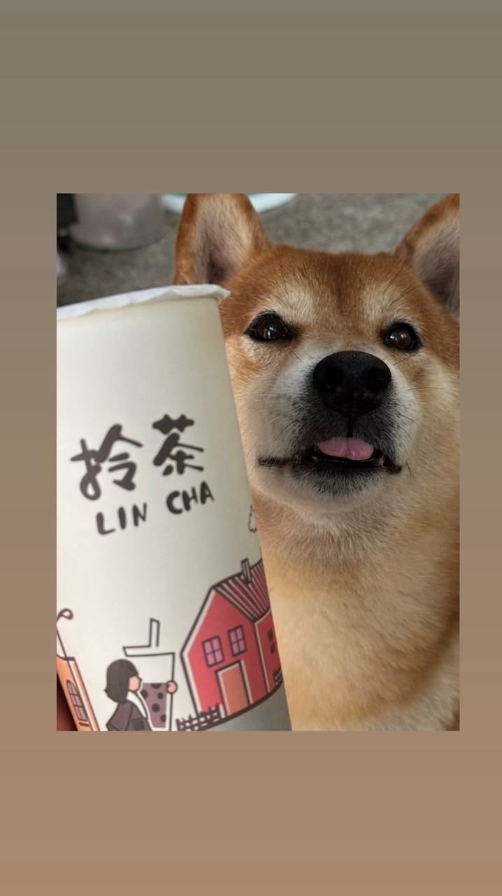 LinCha拎茶沙鹿店