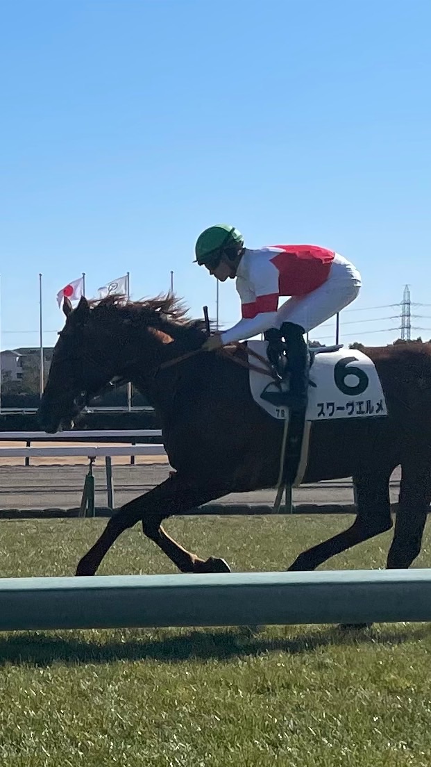 中央地方予想🏇競馬野球ラーメンCH⚾️🍜 競馬Zone🏇のオープンチャット