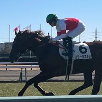 中央地方予想🏇競馬野球ラーメンCH⚾️🍜 競馬Zone🏇