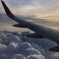 Cô dâu việt- gốc việt tại Đài Loan giúp đỡ nhau