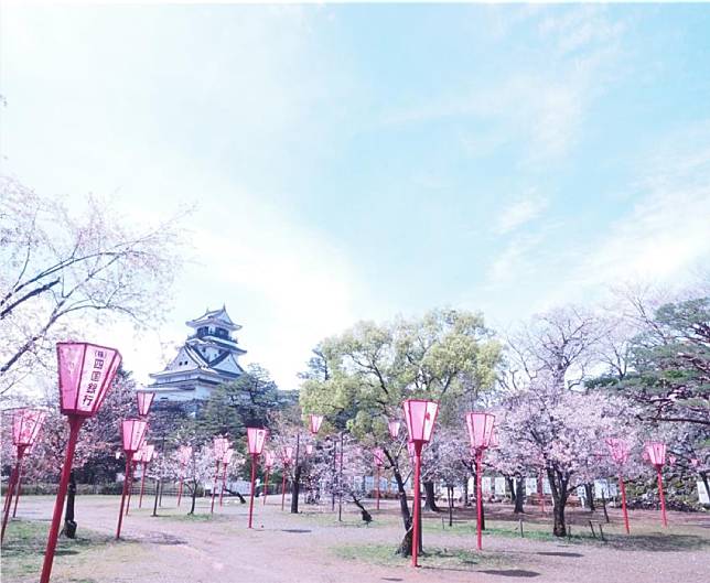 永久保存版 高知四季賞花絕美景點完整大公開 快筆記下來以後衝一波 Japan Walker Line Today