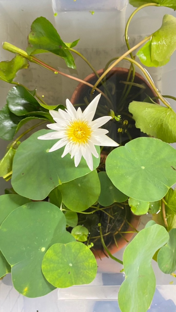 不要管我
