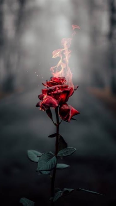 Oasis Network - Rose