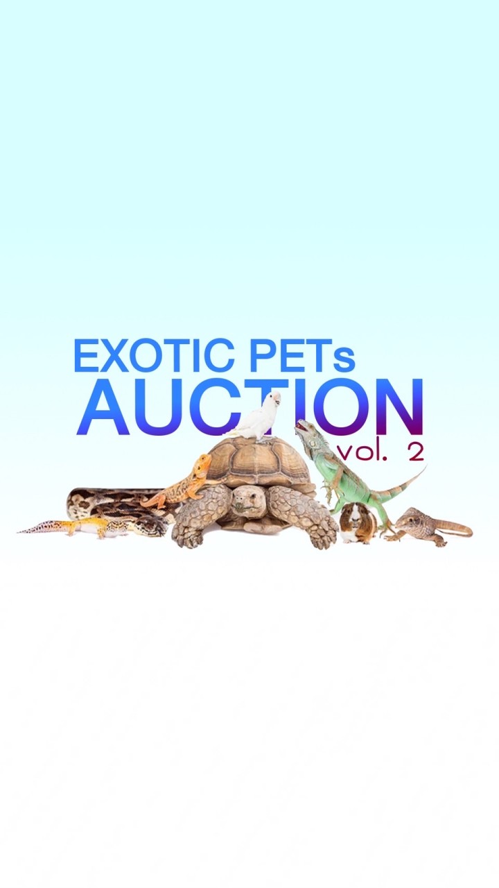 ประมูลสัตว์แปลก | Exotic Pets Auction [2]