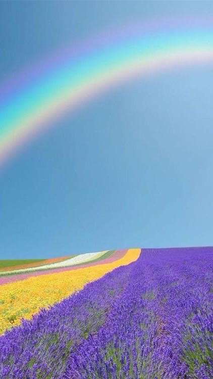 🌈新🚲デリバリー配達員　憩いの場🌈のオープンチャット