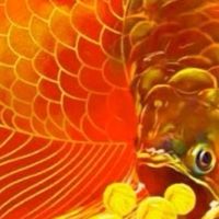 HQ臺灣總代理